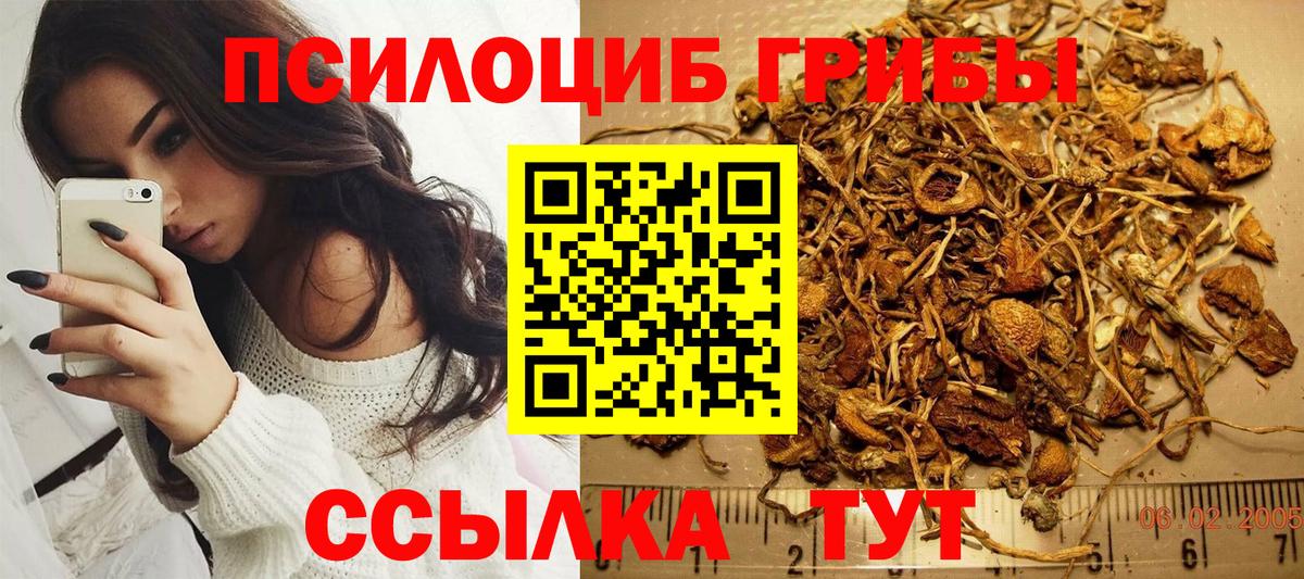 Псилоцибиновые грибы GOLDEN TEACHER  Вход с VPN  Большой Камень 