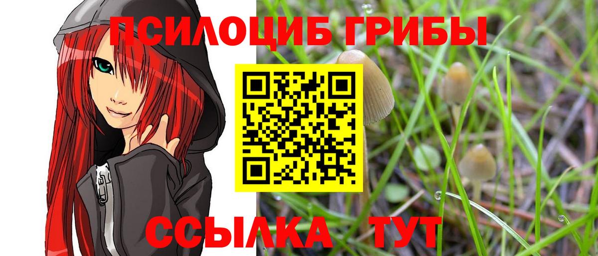 Галлюциногенные грибы GOLDEN TEACHER Большой Камень